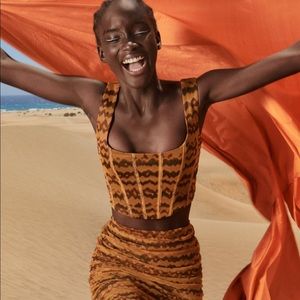 Zara brown tulle corset top